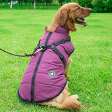Winter Wonderland Pet Hooded Coat