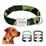Reflective Wave Point Dog Collar: High Visibility, Adjustable