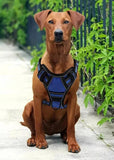 Tactical Service Dog Harness Strap Set, Car Seat Belt