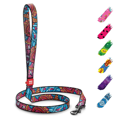 WAUDOG Nylon Dog Leash For Small Medium And Large Dogs