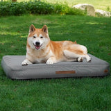 Indoor and outdoor inflatable dog bed