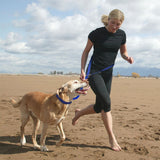 6 Way Multi functional Nylon Dog Leash