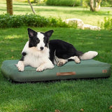 Indoor and outdoor inflatable dog bed