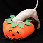 Halloween Pumpkin Pup Collar