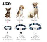 Reflective Wave Point Dog Collar: High Visibility, Adjustable