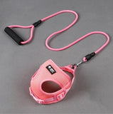 The Ultimate Comfort Dog Leash And Collar Set