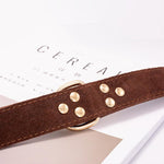 Petpals Comfortfit Dog Collar
