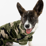 Dog Pajamas - Camo