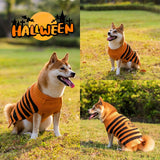 Halloween Dog Sweater Cosplay