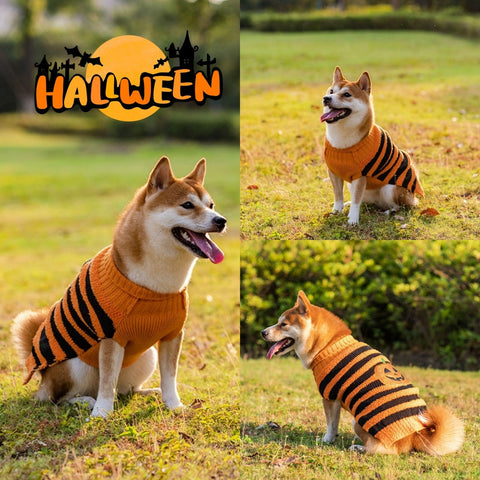 Halloween Dog Sweater Cosplay