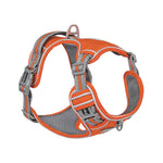 Explosive Adventure Dog Harness