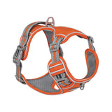 Explosive Adventure Dog Harness