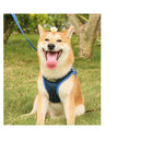 Pet Adventure Chest Harness And Leash Combo