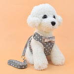 Pet Adventure Harness