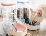 Cat Feeding Container