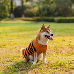 Halloween Dog Sweater Cosplay