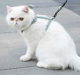 Japanese Cat Harness