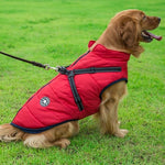 Winter Wonderland Pet Hooded Coat