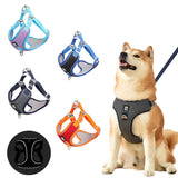Dog Harness And Leash