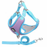 Dog Harness And Leash