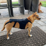 Ultimate Supportive Back Brace For Dogs