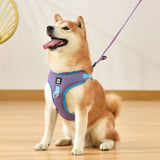 Dog Harness And Leash