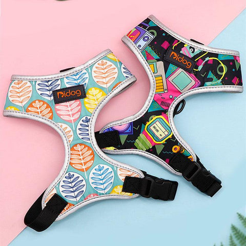 Dynamic Duo Cat Walking Harness