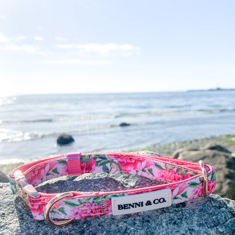 Pretty in Peonies Dog Collar