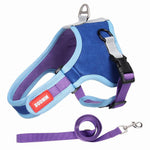 Luxury Suede Dog Harness Set