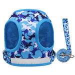 Reflective Adventure Pet Harness With Printed Leash