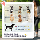 3 in 1 Pet Stroller with Detachable Carrier