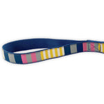 Sunshine Stripe - Tennis Ball Toss Dog Toy