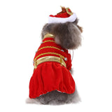 Funny Halloween Pet Costume