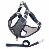 Dog Harness And Leash