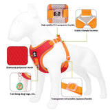 Dog Harness And Leash