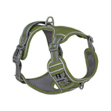 Explosive Adventure Dog Harness