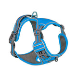 Explosive Adventure Dog Harness