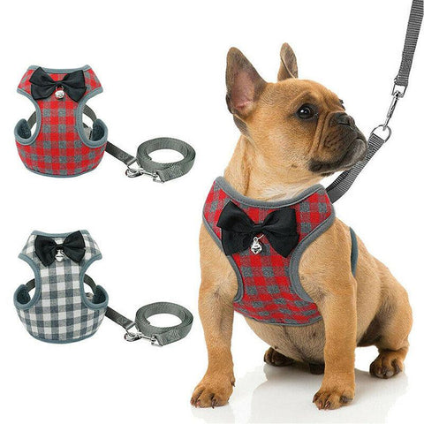 Ultimate Comfort Dog Chest Strap Leash