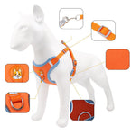 Ultimate Comfort And Safety Pet Harness Set
