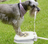 Refreshing Paws Outdoor Dog Water Fountain