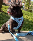 Pupshake Blue Adjustable Dog Harness