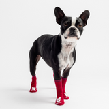 🧦 Red Compression Dog Socks – Anti-Skid