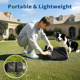 Indoor and outdoor inflatable dog bed