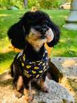 Candy Corn - Pet Bandana