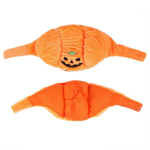 Funny Pumpkin Pet Hat
