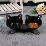 Double Paw Cat Bowl