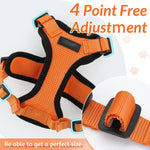 Atuban Adjustable Cat Harness And Leash