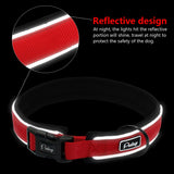 Adjustable Comfort Thick Padded Nylon Dog Collar