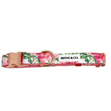 Pretty in Peonies Dog Collar