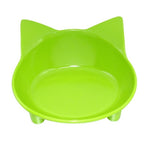 Pet Feeding Bowl